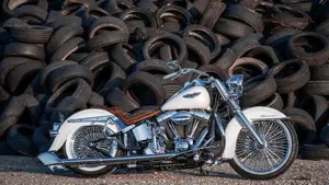 Harley-Davidson 1690 Deluxe ABS (2011 - 16) - FLSTN  (2)