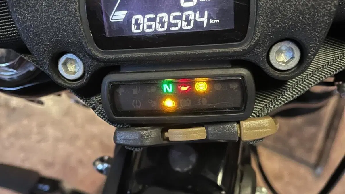 Harley-Davidson Street Bob 114 (2021 - 24)  (6)