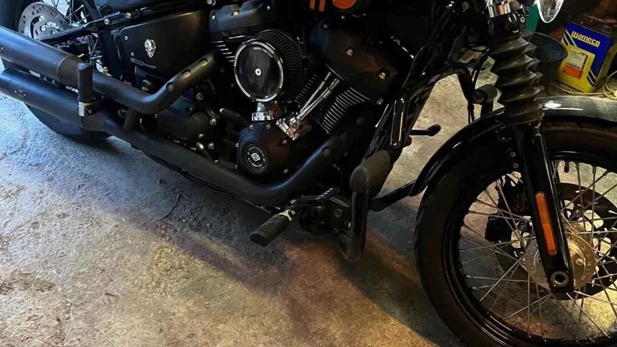Harley-Davidson Street Bob 114 (2021 - 24)  (7)