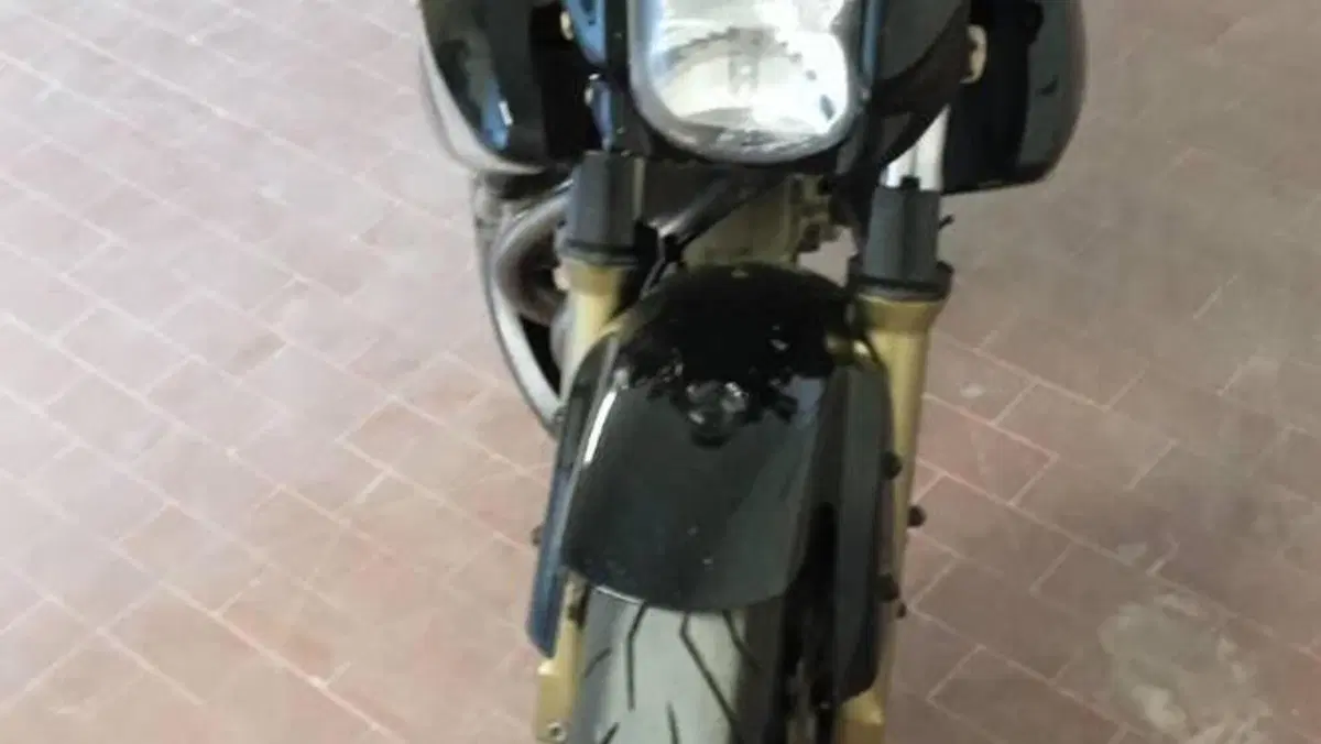 Kawasaki ER-6N (2006 - 09) 