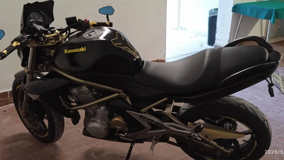 Kawasaki ER-6N (2006 - 09)  (2)