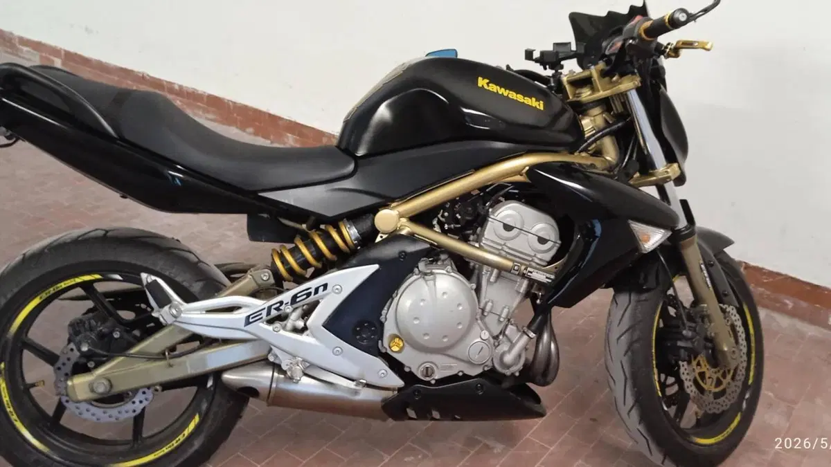 Kawasaki ER-6N (2006 - 09)  (4)