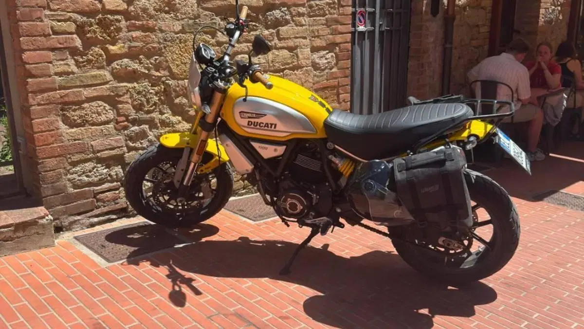Ducati Scrambler 1100 Special (2018 - 20)  (2)