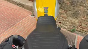 Ducati Scrambler 1100 Special (2018 - 20)  (5)