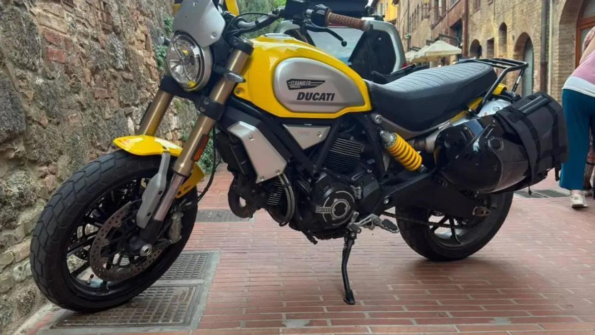 Ducati Scrambler 1100 Special (2018 - 20)  (8)