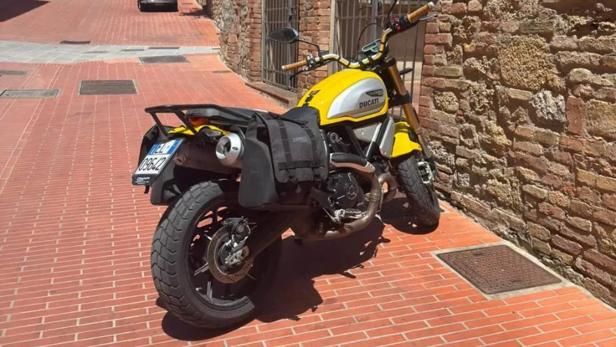 Ducati Scrambler 1100 Special (2018 - 20)  (13)