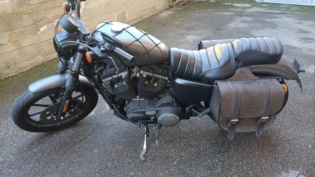 Harley-Davidson 883 Iron (2017 - 20) - XL 883N  (2)