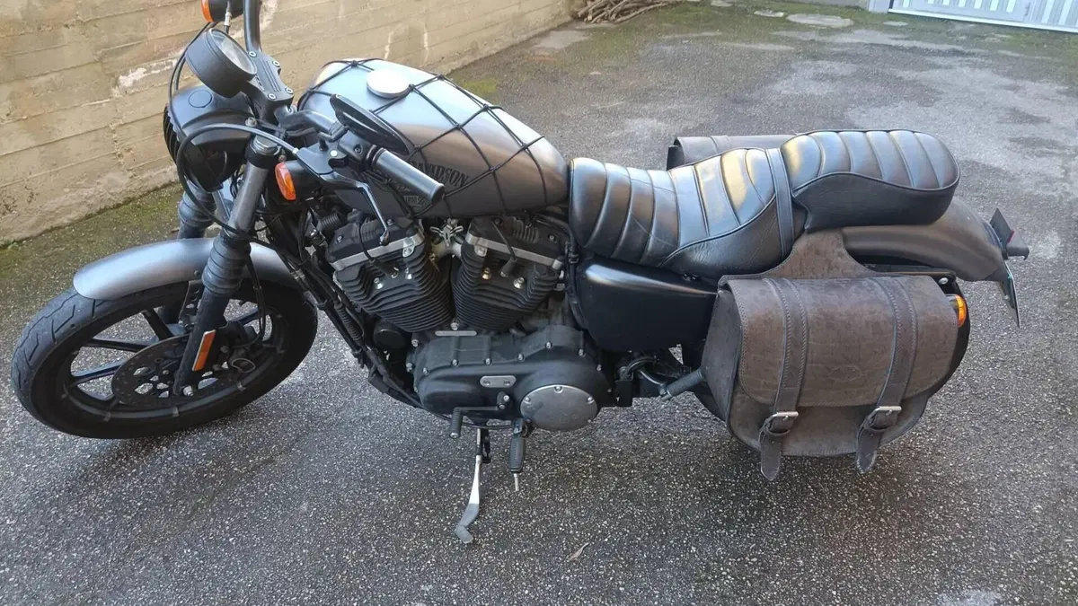 Harley-Davidson 883 Iron (2017 - 20) - XL 883N  (3)