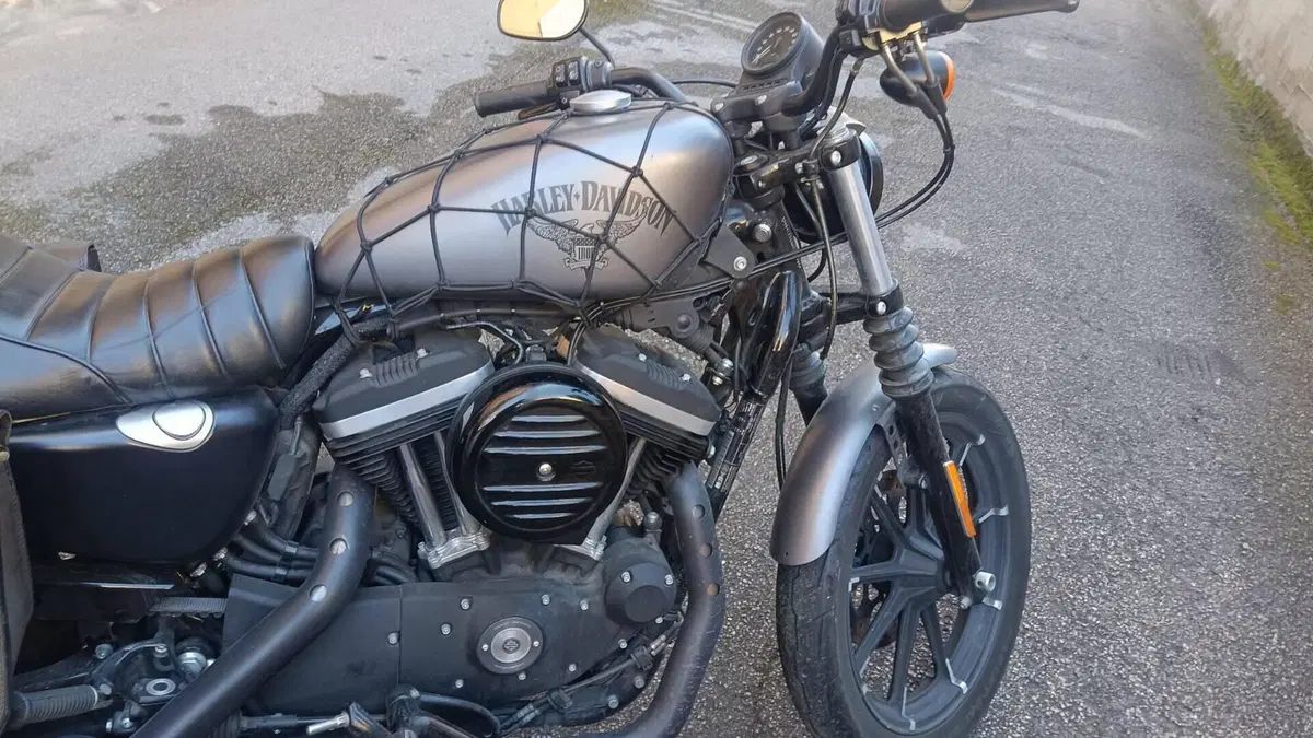 Harley-Davidson 883 Iron (2017 - 20) - XL 883N  (8)