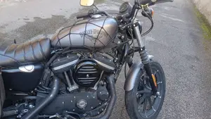 Harley-Davidson 883 Iron (2017 - 20) - XL 883N  (8)