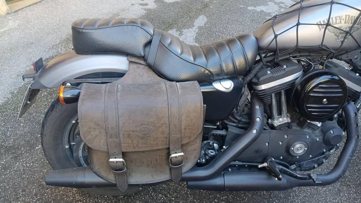 Harley-Davidson 883 Iron (2017 - 20) - XL 883N  (9)