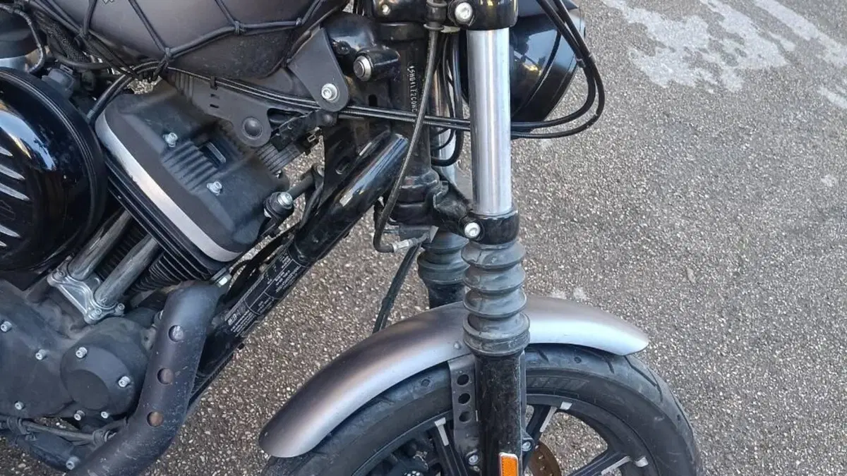 Harley-Davidson 883 Iron (2017 - 20) - XL 883N  (11)
