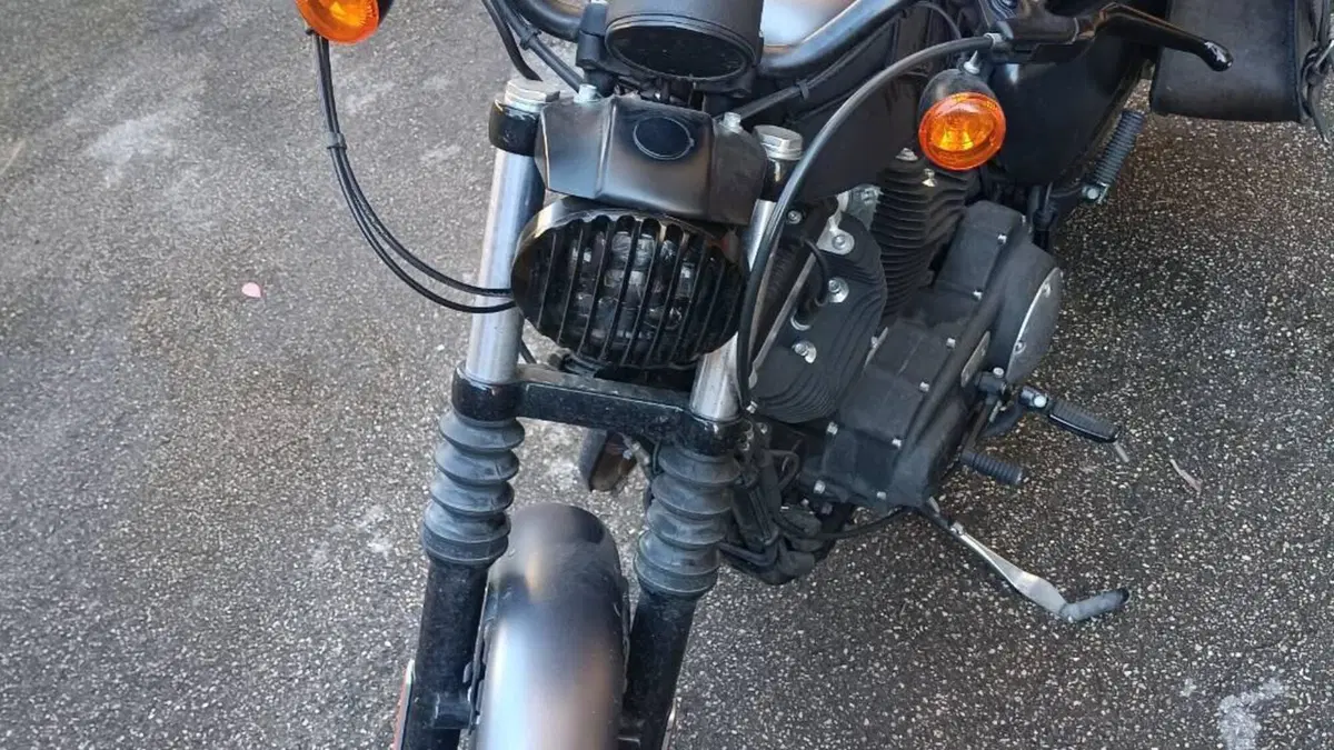 Harley-Davidson 883 Iron (2017 - 20) - XL 883N  (12)