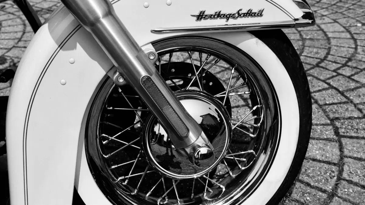 Harley-Davidson 1690 Heritage Classic (2011 - 17) - FLSTC  (5)