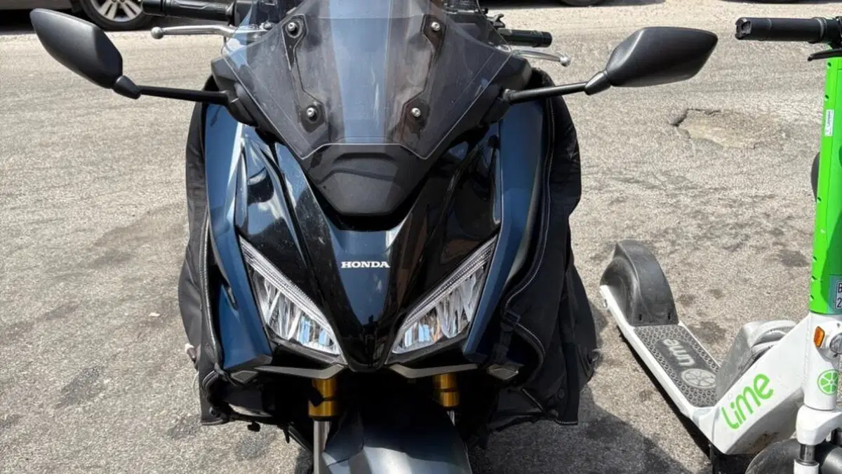 Honda Forza 750 DCT (2021 - 24) 