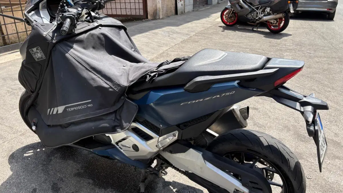 Honda Forza 750 DCT (2021 - 24)  (3)