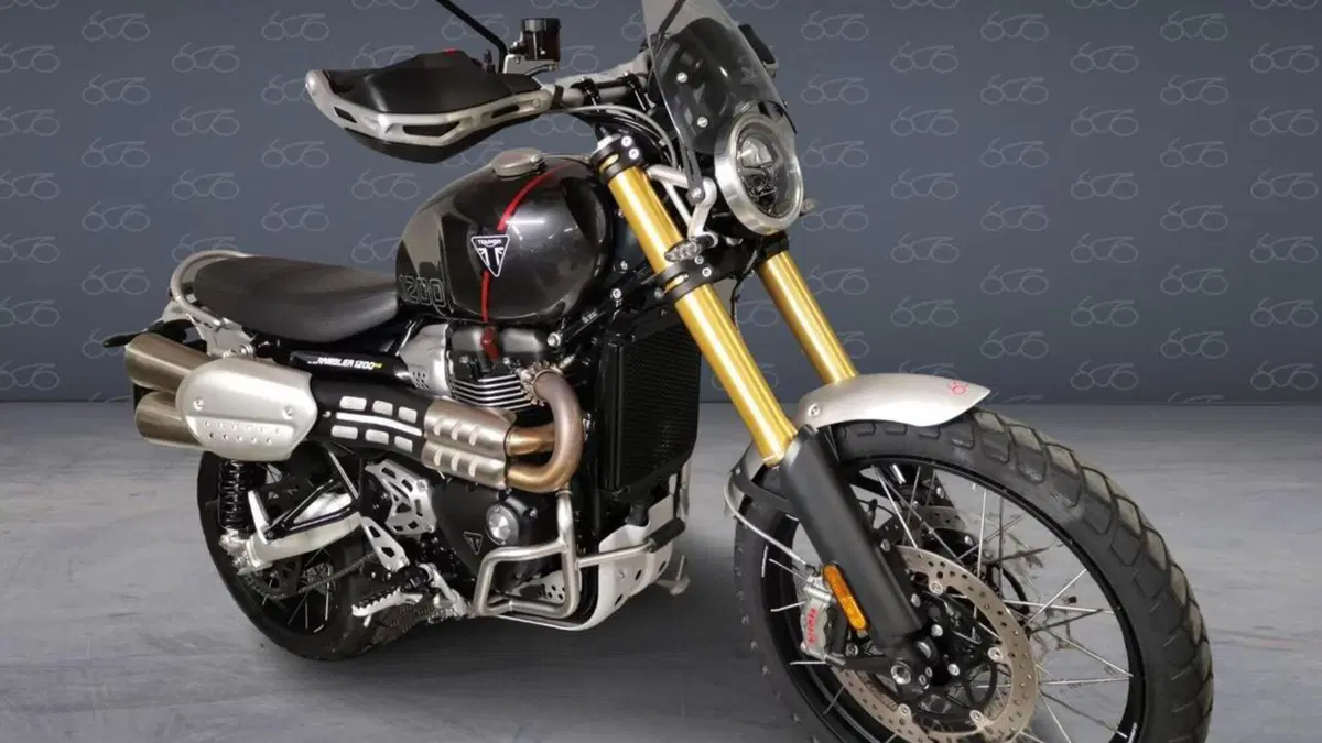 Triumph Scrambler 1200 XE (2024 - 25)  (2)