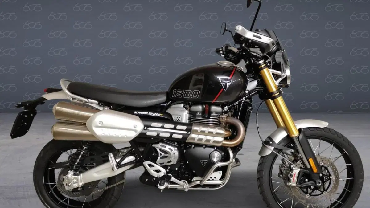 Triumph Scrambler 1200 XE (2024 - 25) 
