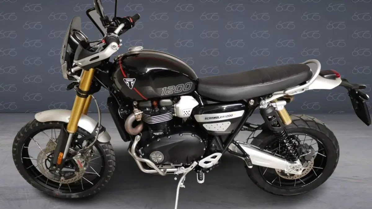 Triumph Scrambler 1200 XE (2024 - 25)  (3)