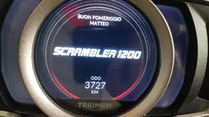 Triumph Scrambler 1200 XE (2024 - 25)  (6)