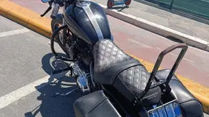 Harley-Davidson 1200 Custom (2004 - 06) - XL 1200C  (7)