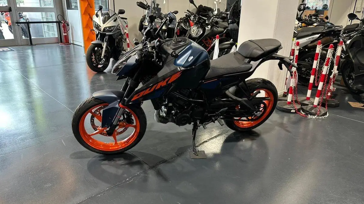 KTM 125 Duke (2024 - 25)  (5)