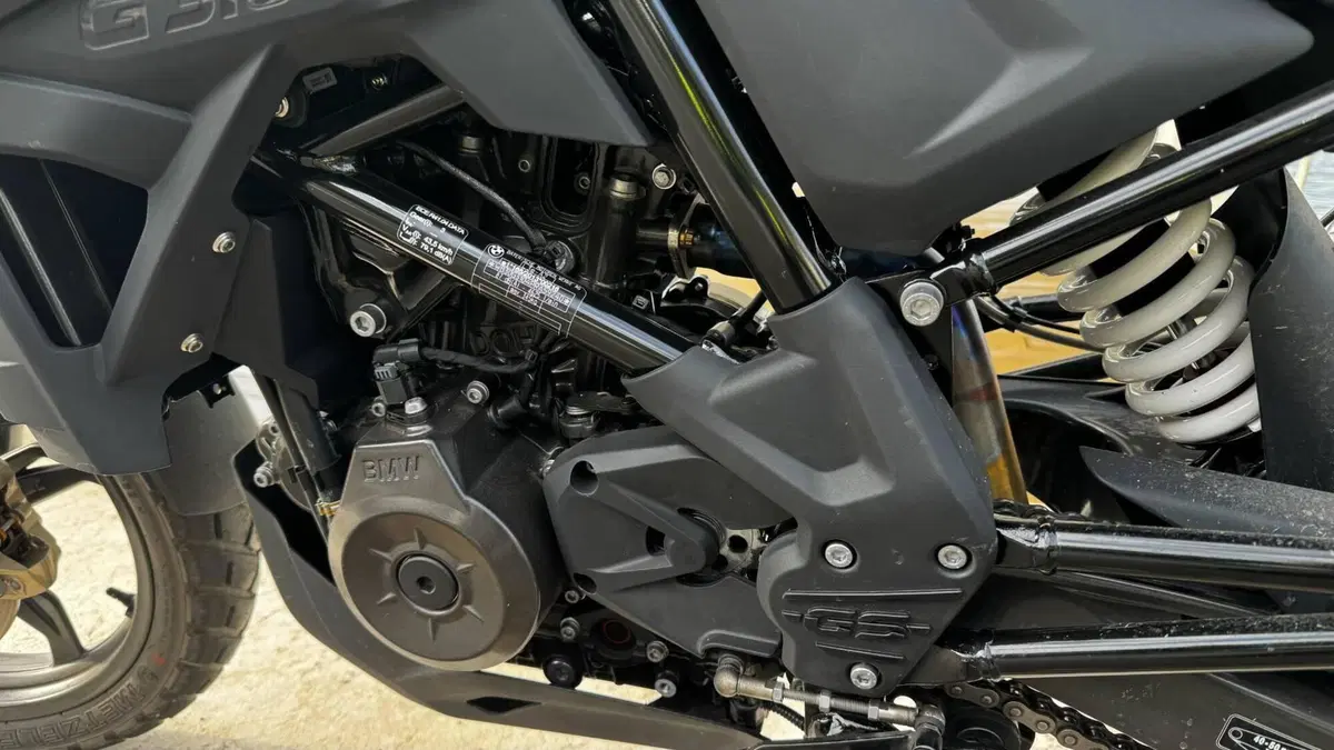 Bmw G 310 GS (2021 - 25)  (2)