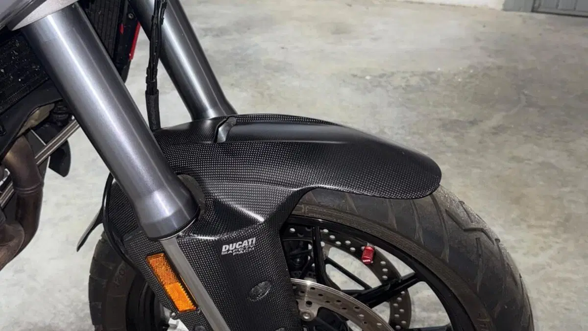 Ducati Multistrada V4 S (2021 - 24)  (8)