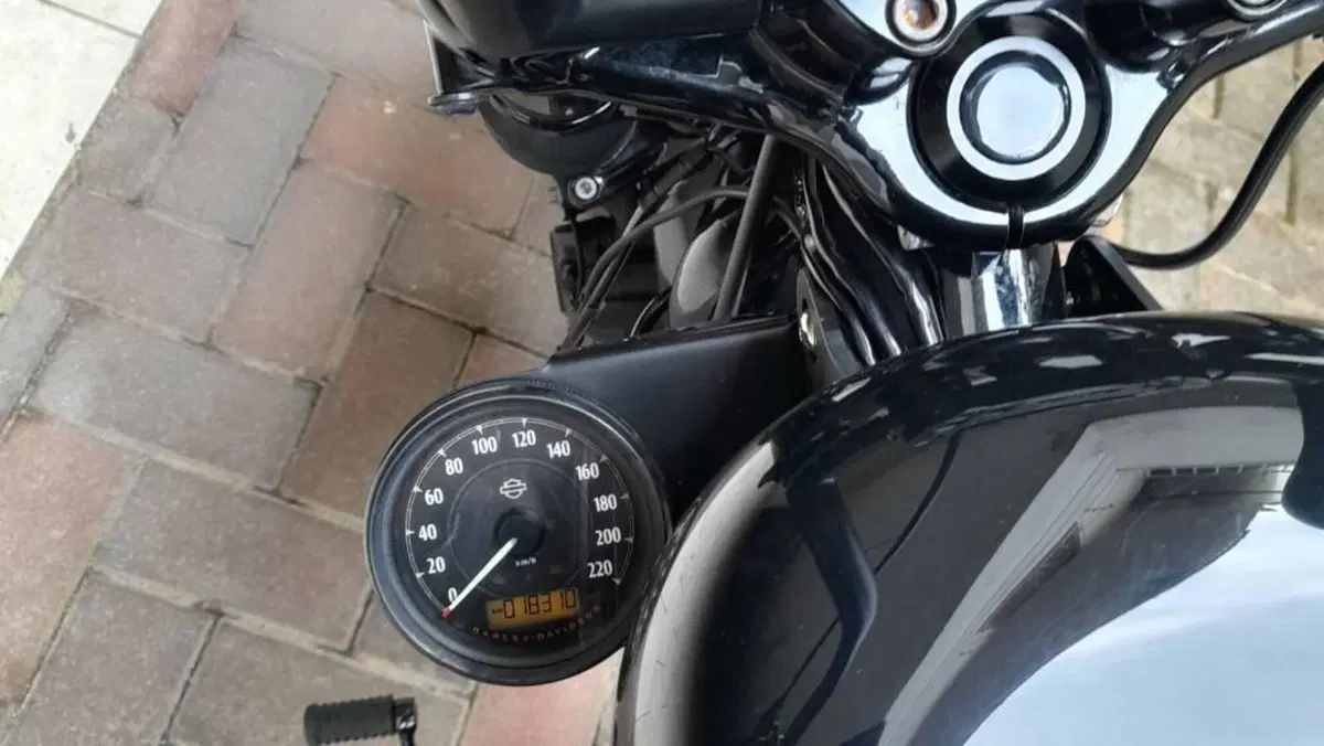 Harley-Davidson 1200 Forty-Eight (2016 - 20)  (7)