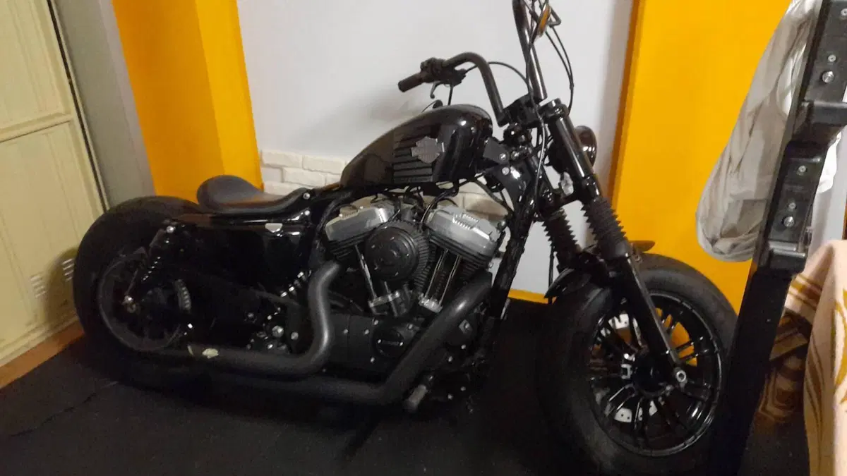 Harley-Davidson 1200 Forty-Eight (2016 - 20) 
