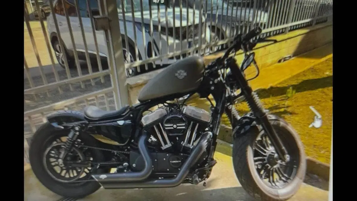 Harley-Davidson 1200 Forty-Eight (2016 - 20)  (13)