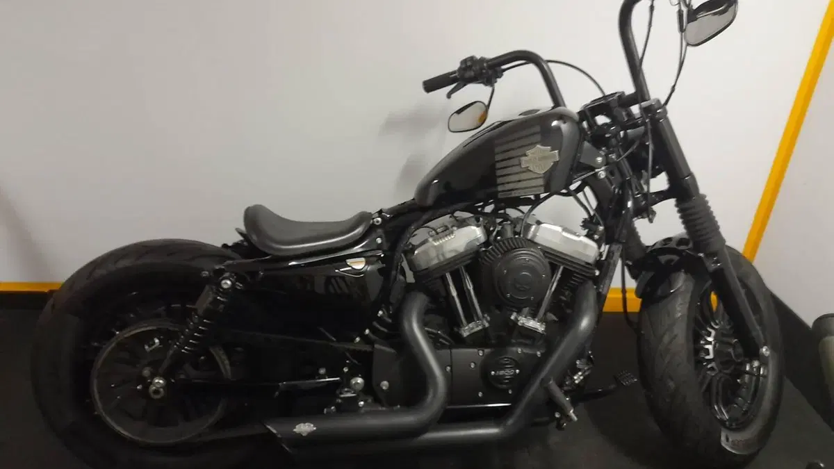 Harley-Davidson 1200 Forty-Eight (2016 - 20)  (14)