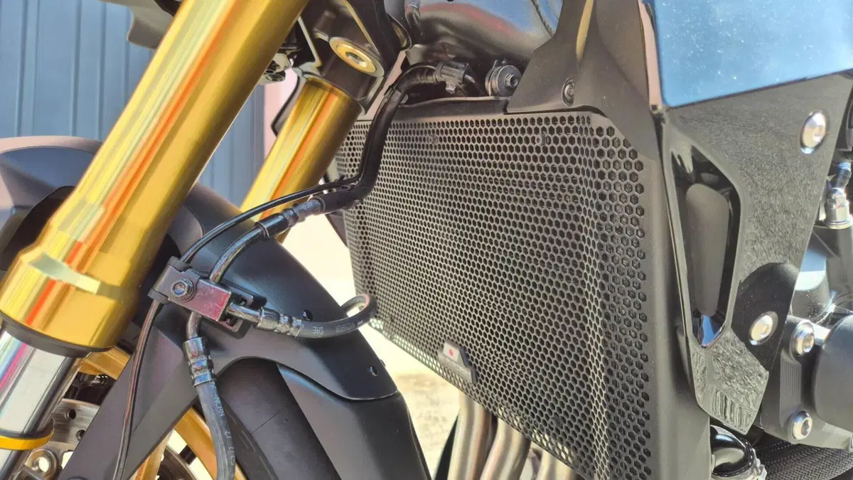 Honda CB 1000 Hornet SP (2025 - 26)  (5)