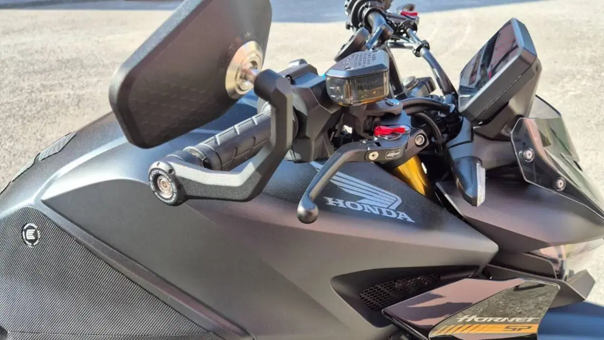 Honda CB 1000 Hornet SP (2025 - 26)  (17)