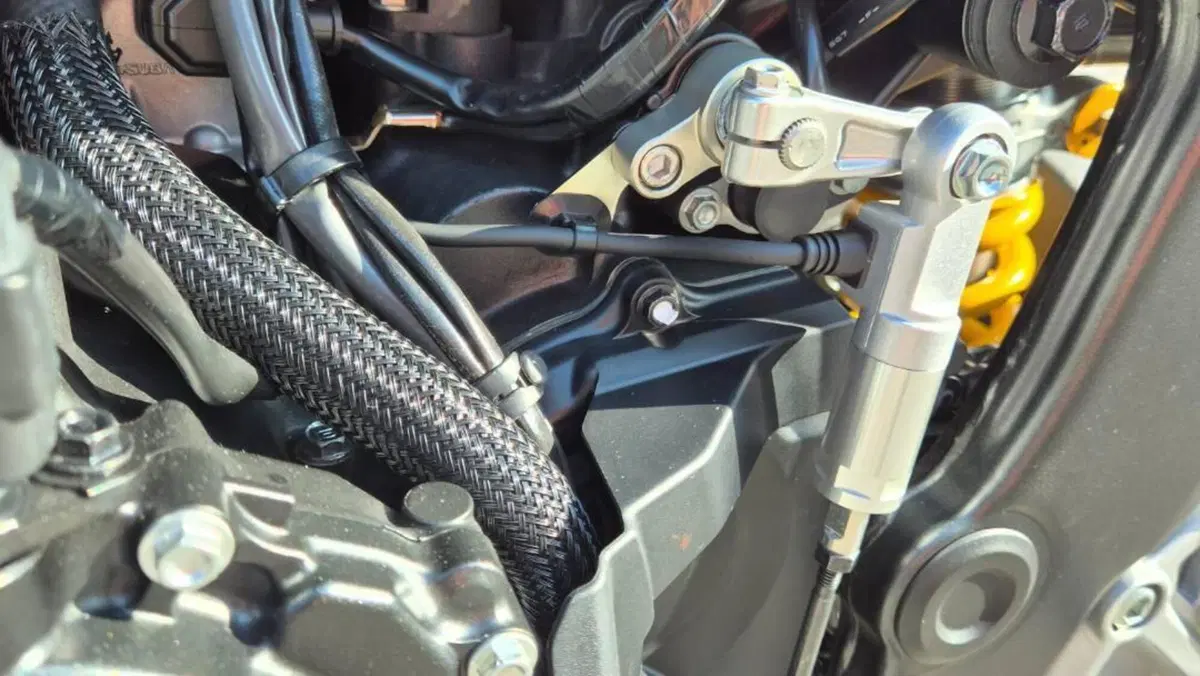 Honda CB 1000 Hornet SP (2025 - 26)  (20)