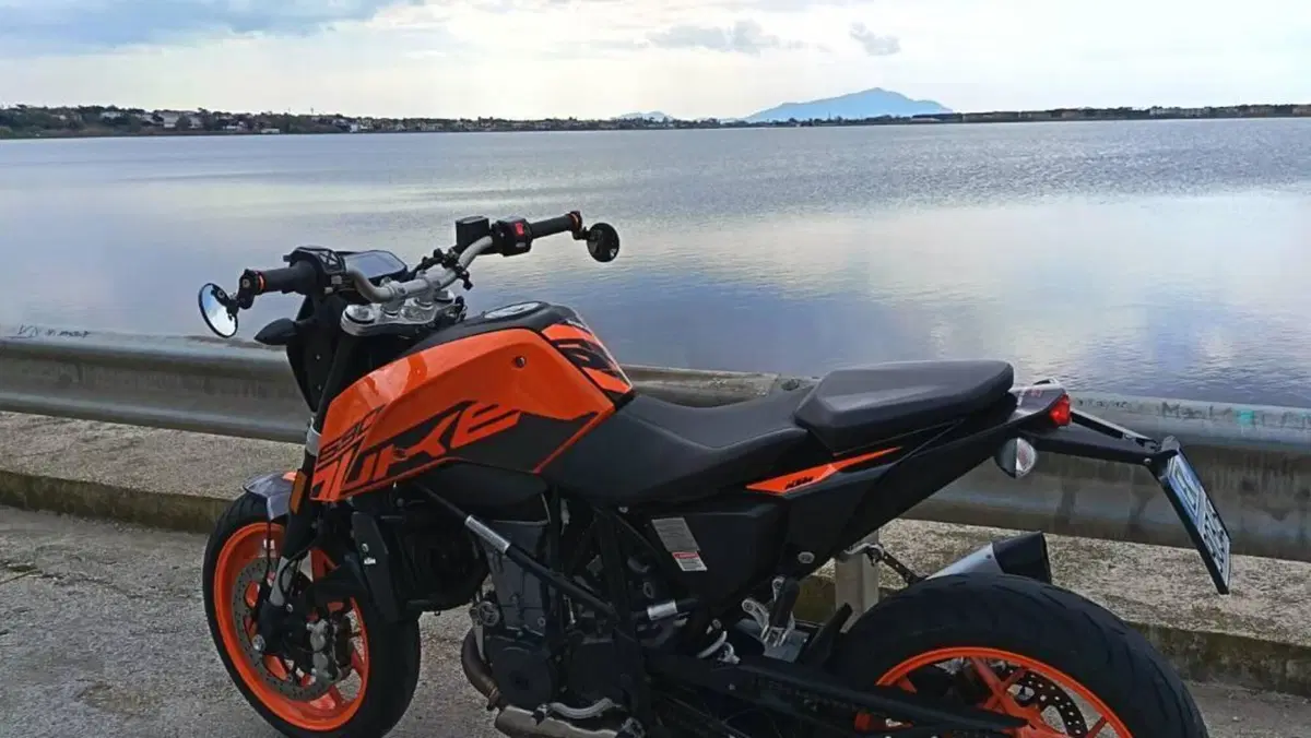 KTM 690 Duke (2016 - 19) 