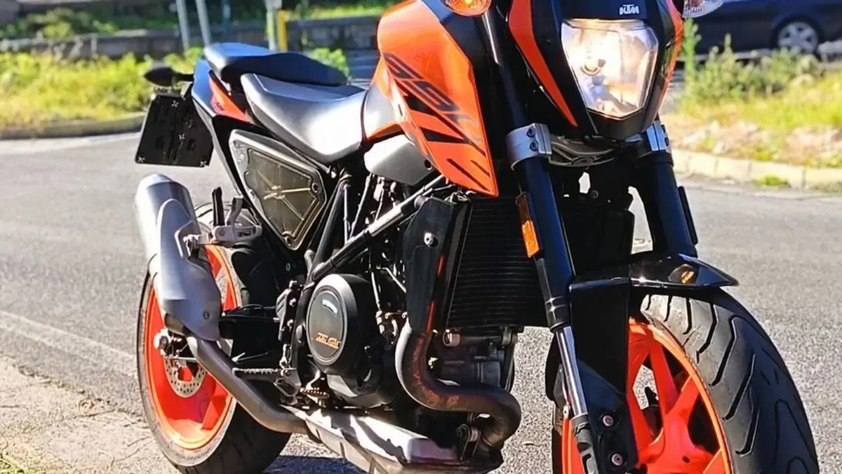 KTM 690 Duke (2016 - 19)  (4)