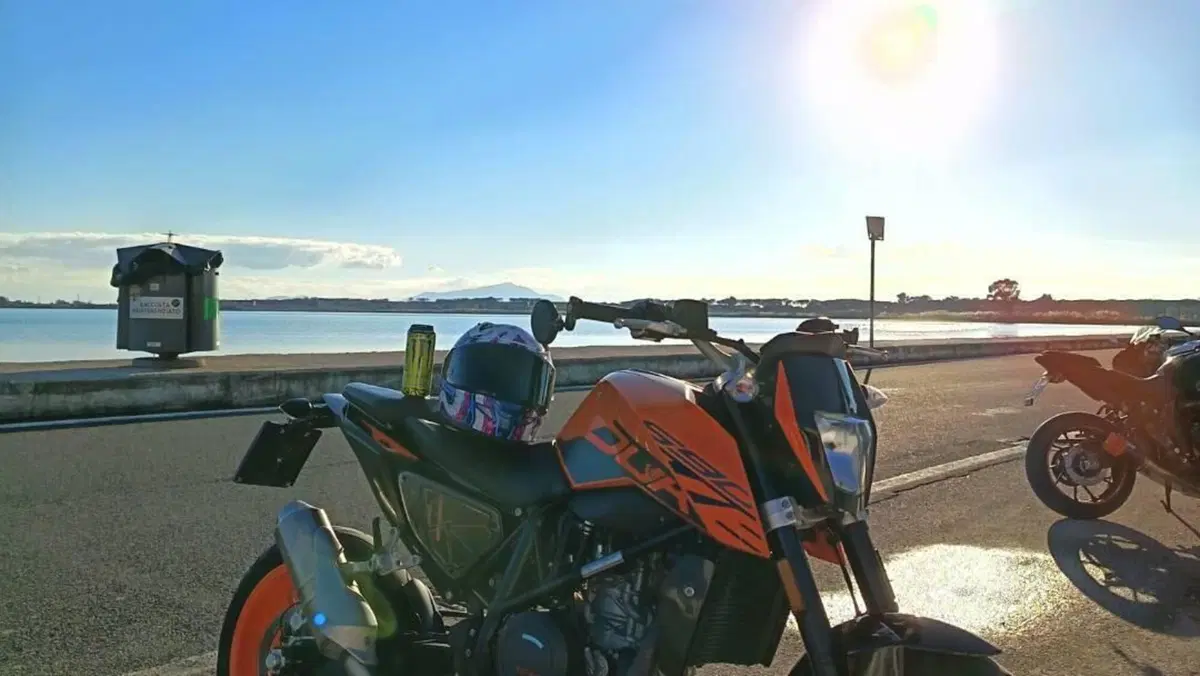 KTM 690 Duke (2016 - 19)  (5)