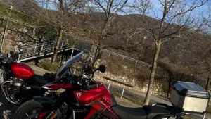 Triumph Tiger 900 GT (2024 - 26)  (5)
