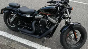 Harley-Davidson 1200 Forty-Eight (2010 - 15)  (3)