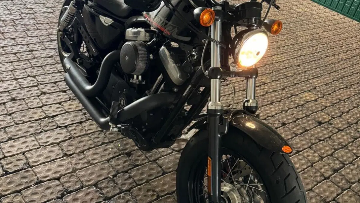 Harley-Davidson 1200 Forty-Eight (2010 - 15)  (7)