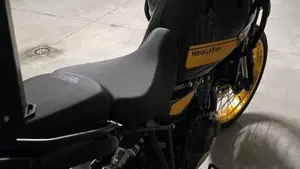 Royal Enfield Himalayan 450 (2024 - 26)  (4)