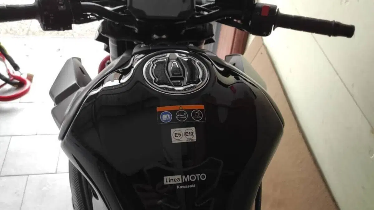 Kawasaki Z 900 (2021 - 24)  (4)