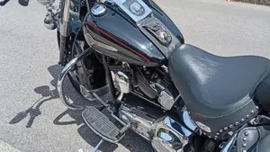 Harley-Davidson   (4)
