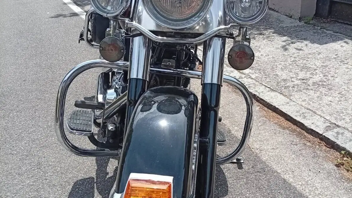 Harley-Davidson   (7)