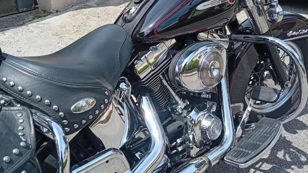Harley-Davidson   (8)