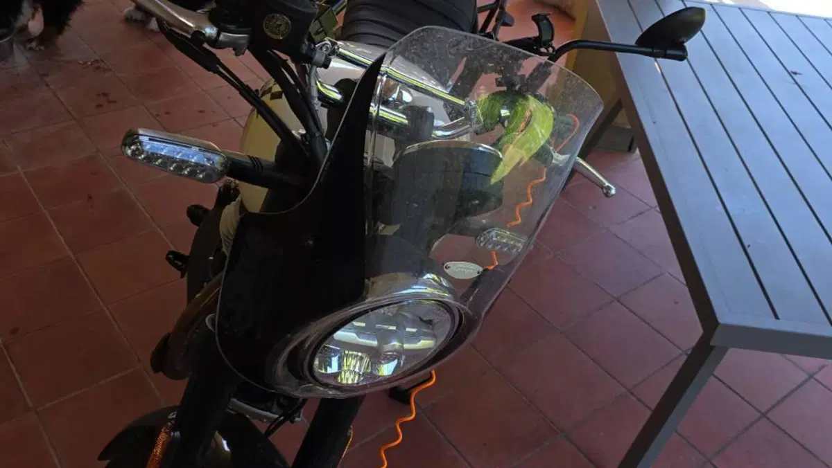 Royal Enfield Bear 650 (2025 - 26) 