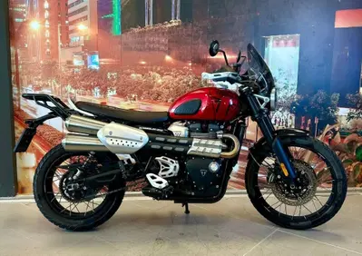 Triumph Scrambler 1200 XE (2024 - 25) - Annuncio 10031500