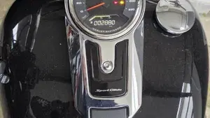 Harley-Davidson 107 Sport Glide (2018 - 20)  (3)