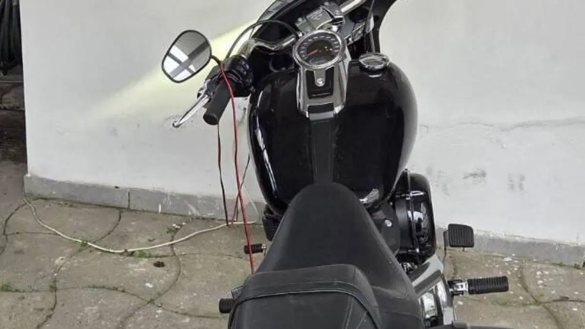 Harley-Davidson 107 Sport Glide (2018 - 20)  (6)